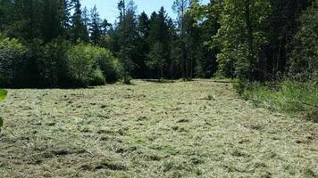 Field Mowing